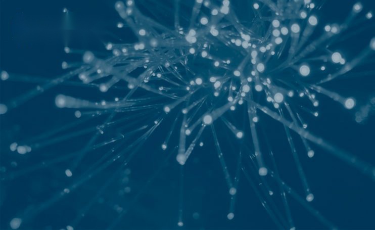 neural network in ai