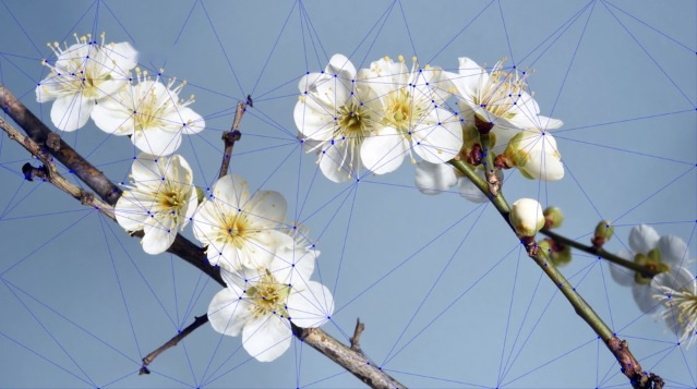 Image Classification with Neural Networks