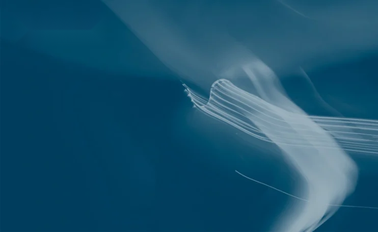 Machine learning in business analytics-s