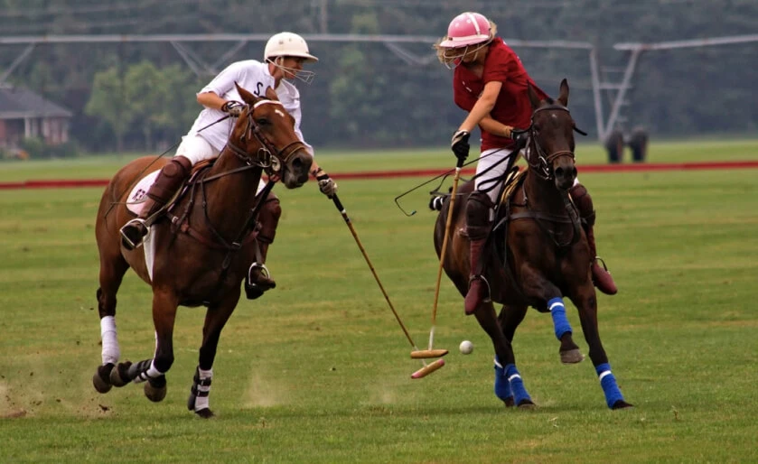 People playing Polo