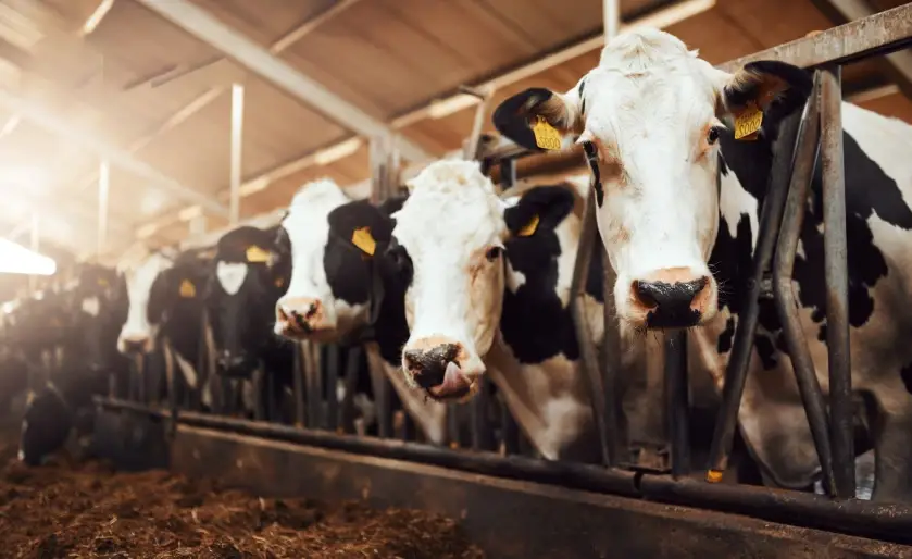 aggressive behavior detection