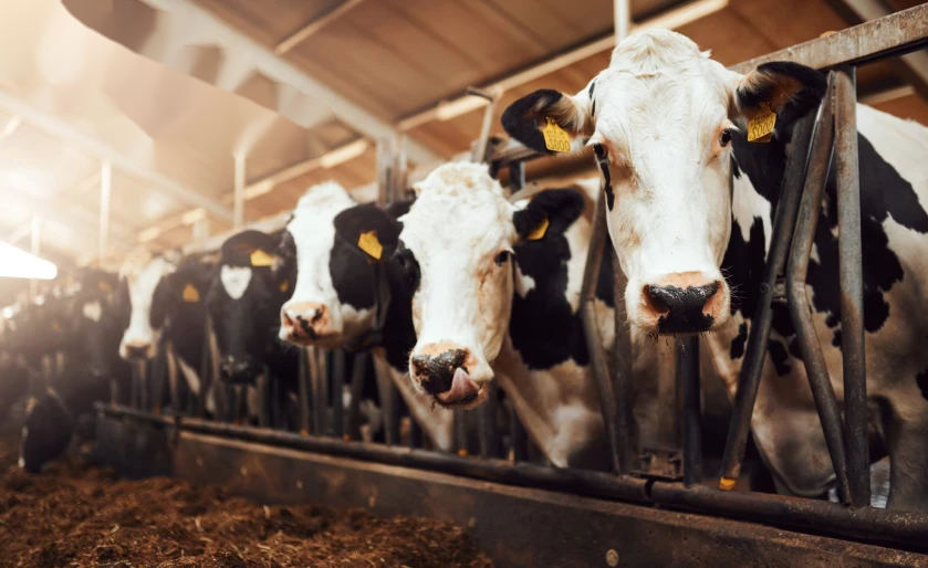 aggressive behavior detection