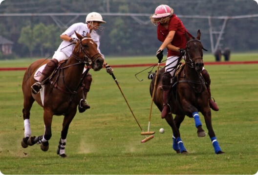 Customer Churn Prediction Software for Online Sports Betting Company