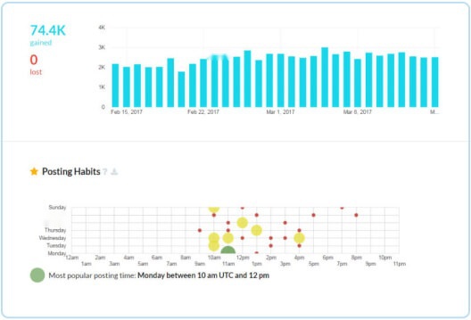 AI Software Development