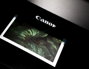 Building optical character recognition solution